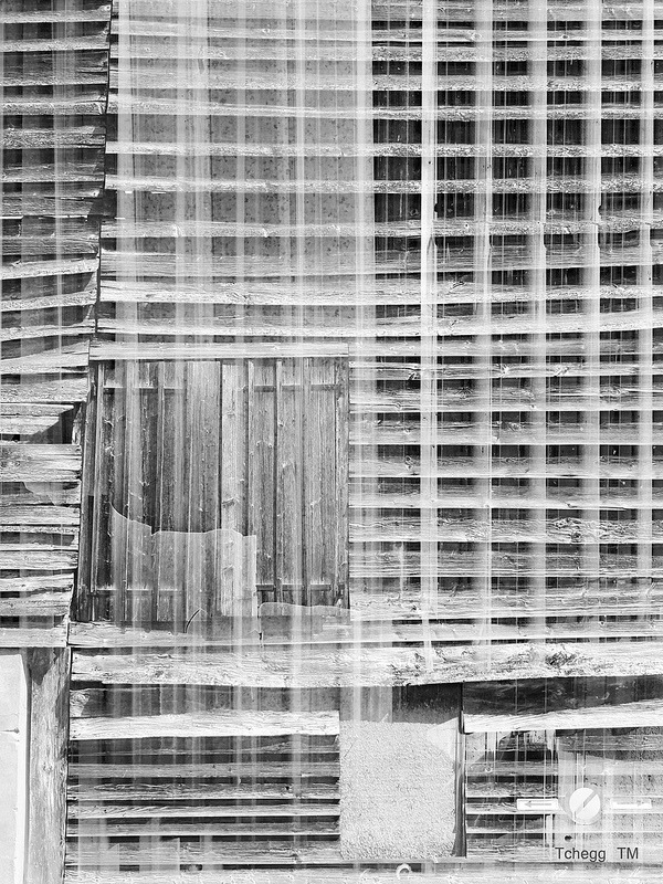 Archillect ID 12380
