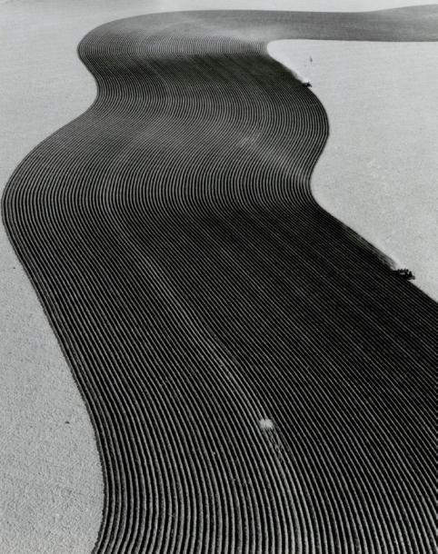 Archillect ID 12387
