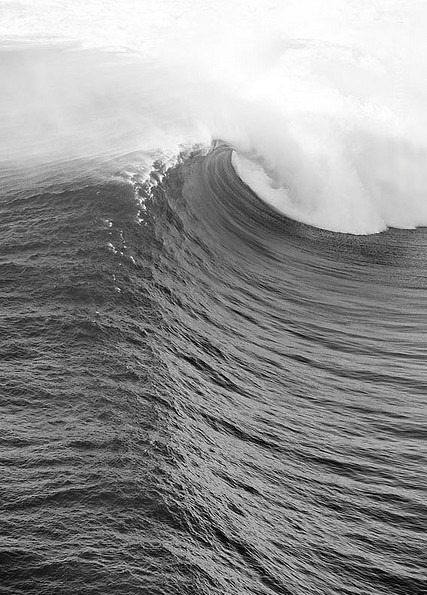 Archillect ID 12393