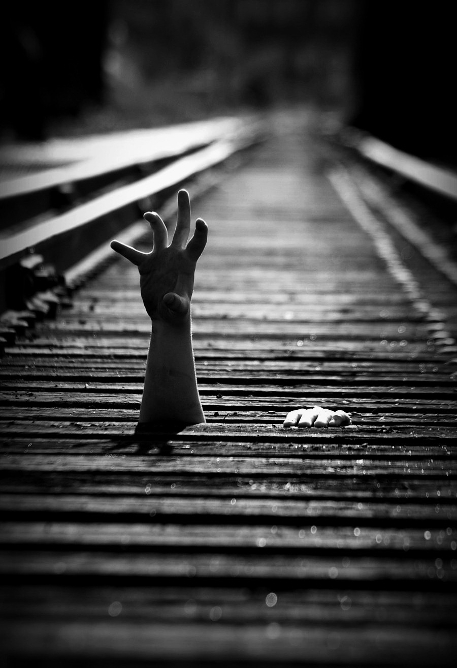 Archillect ID 12408