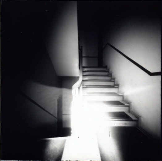 Archillect ID 12491