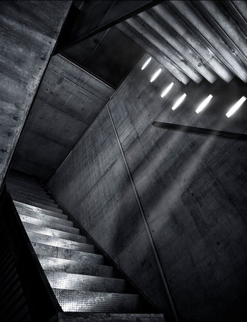 Archillect ID 12520