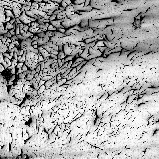 Archillect ID 12621