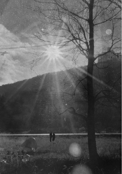 Archillect ID 12634