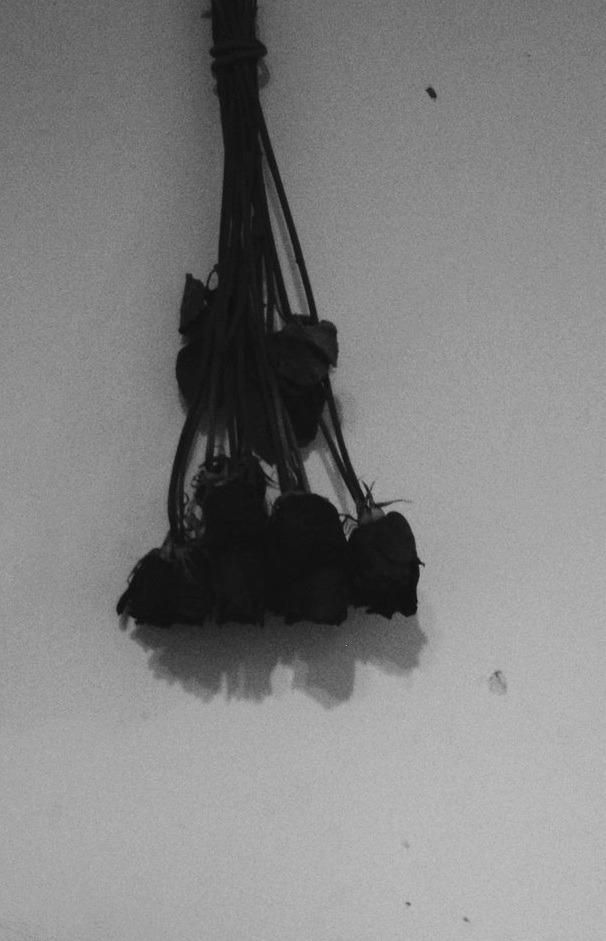 Archillect ID 12657