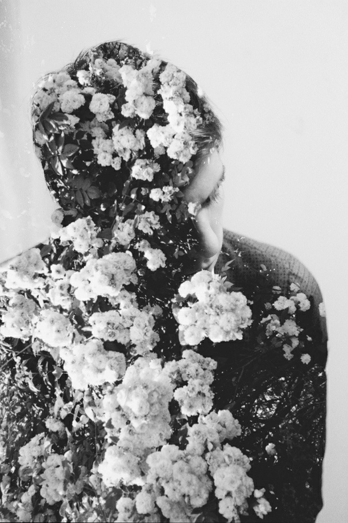 Archillect ID 12719