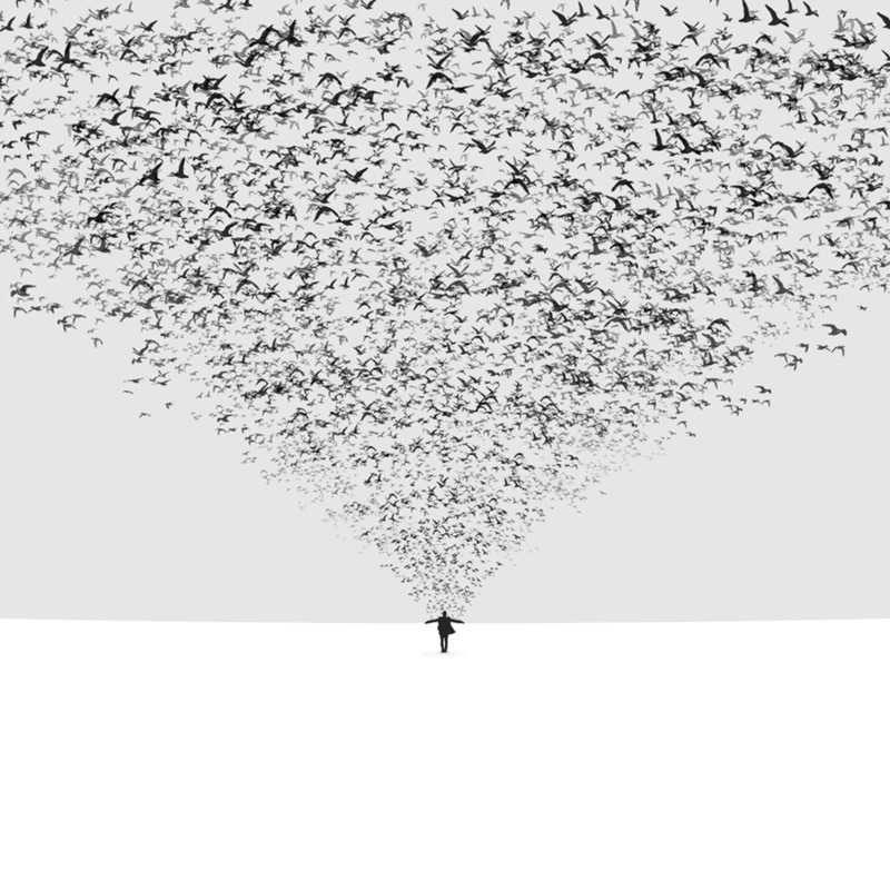 Archillect ID 12734