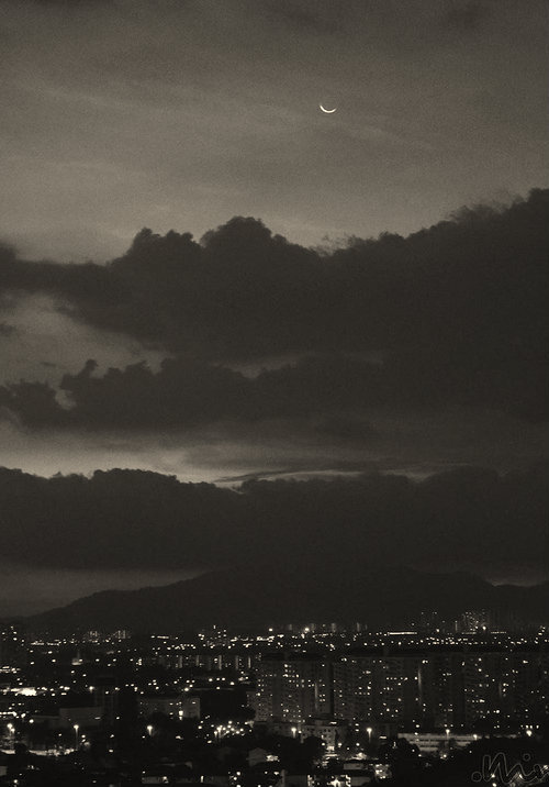 Archillect ID 12810