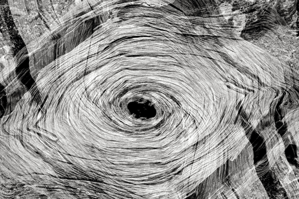 Archillect ID 12868