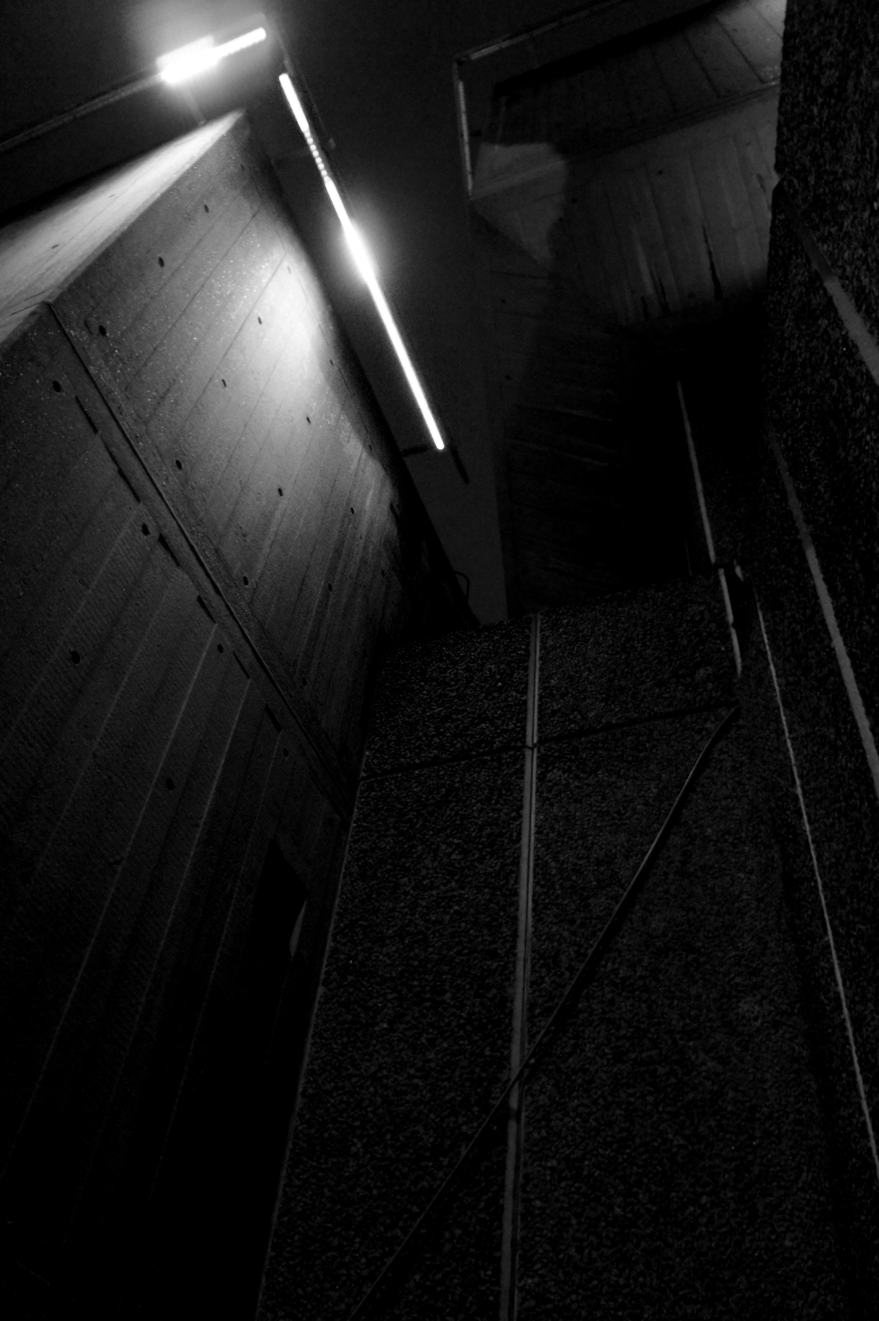 Archillect ID 12883