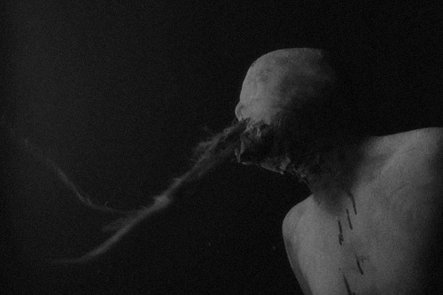Archillect ID 12908