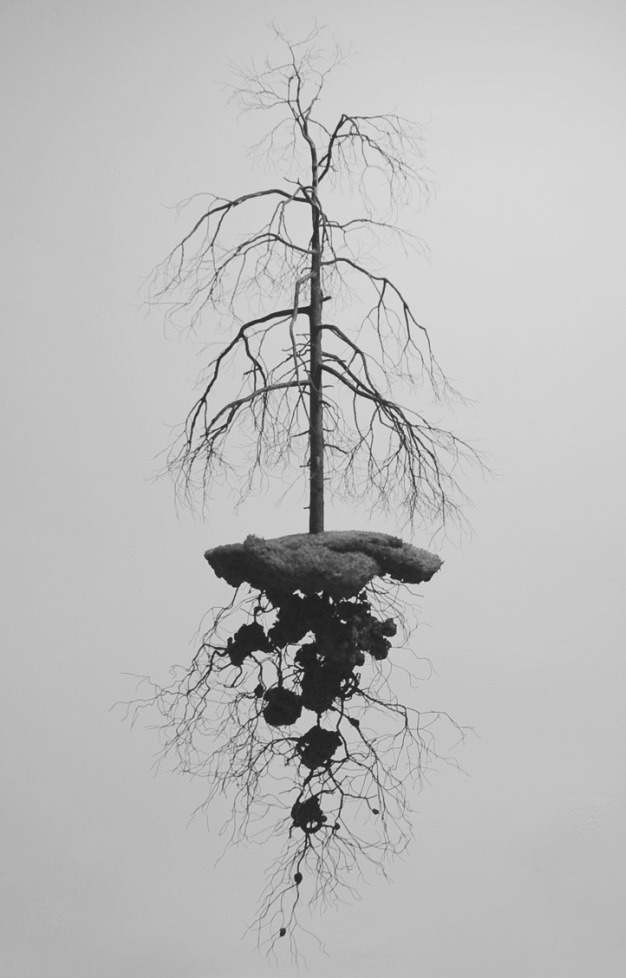Archillect ID 12953