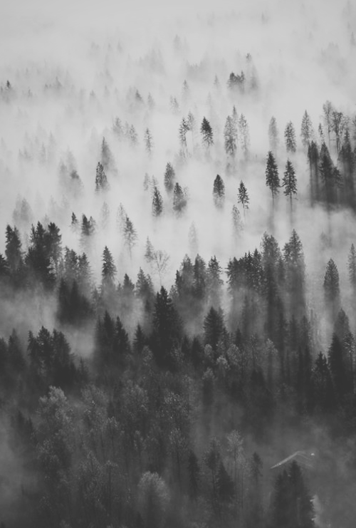 Archillect ID 12992
