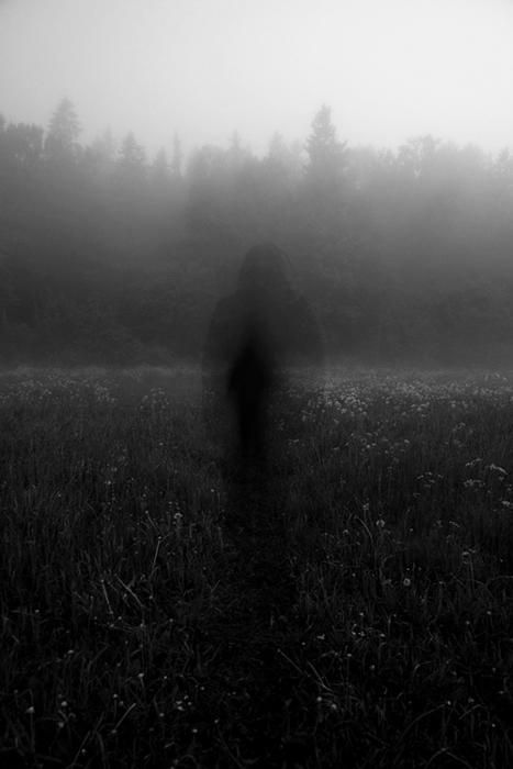 Archillect ID 12995