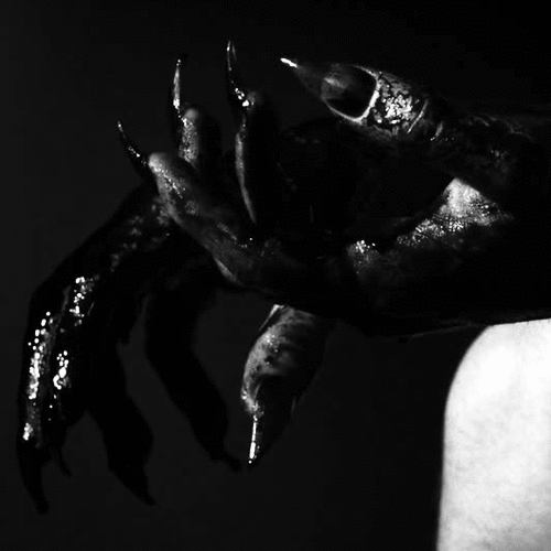 Archillect ID 13129