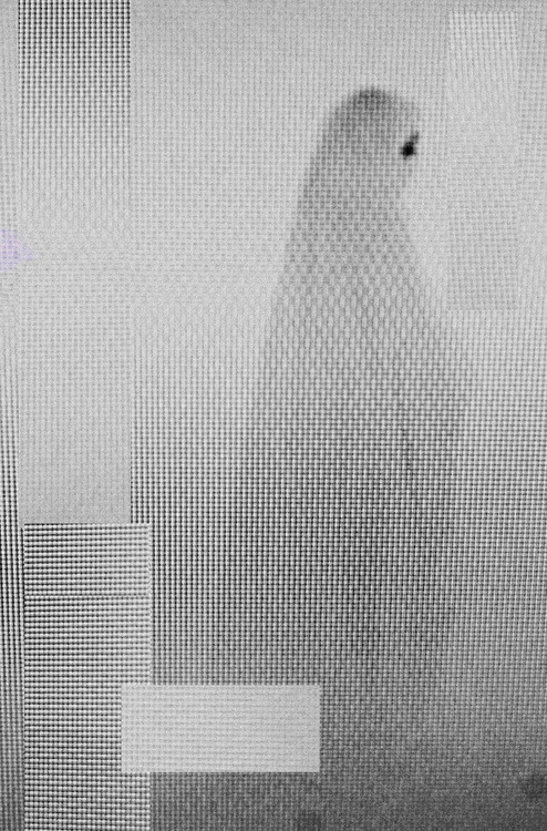 Archillect ID 13190
