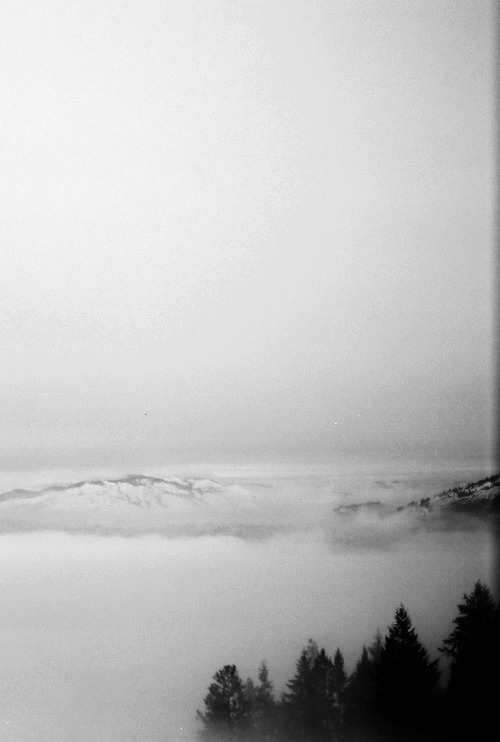 Archillect ID 13253