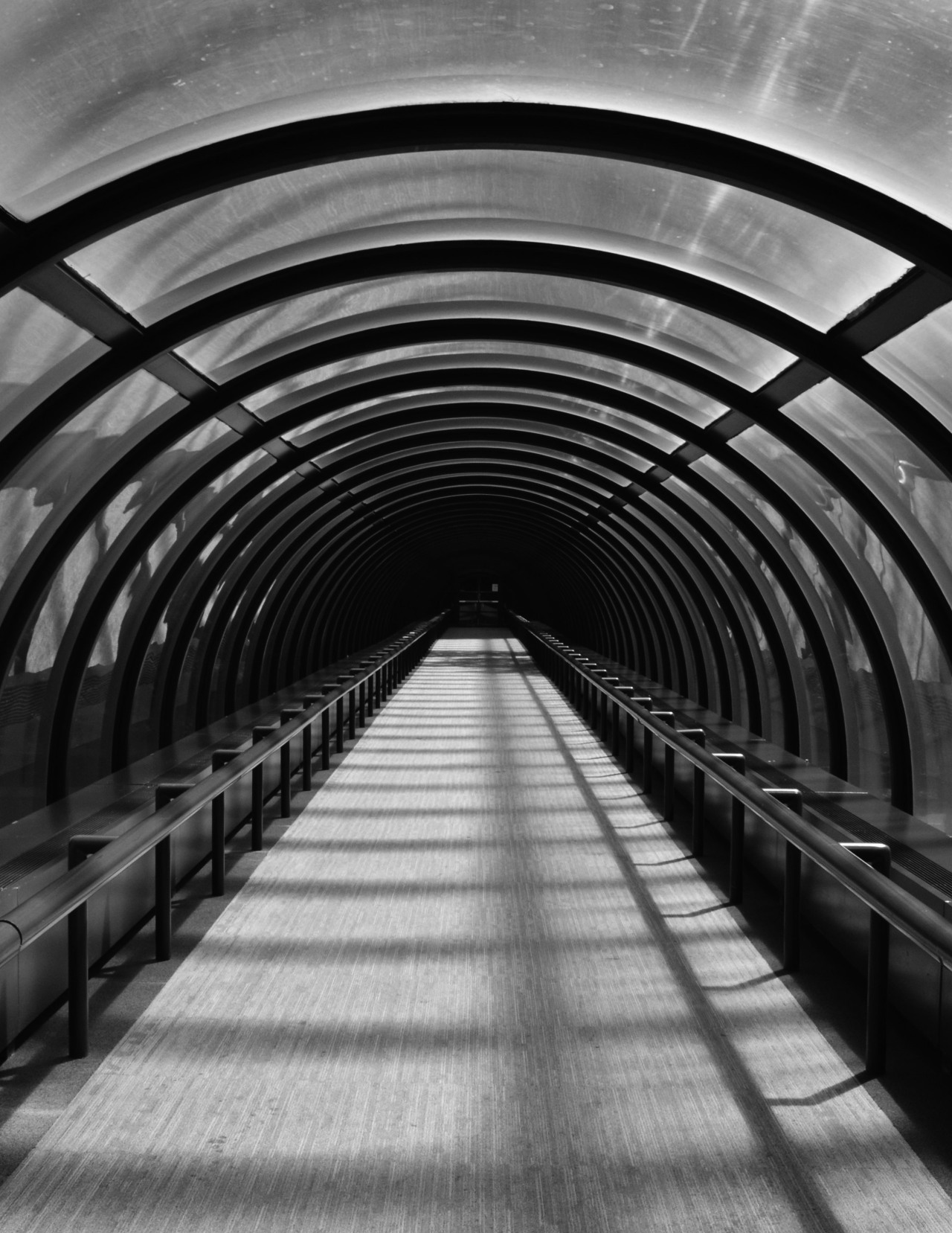 Archillect ID 13286