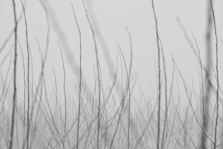 Archillect ID 13315