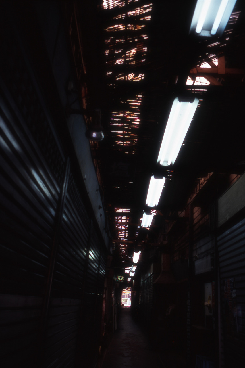 Archillect ID 13379