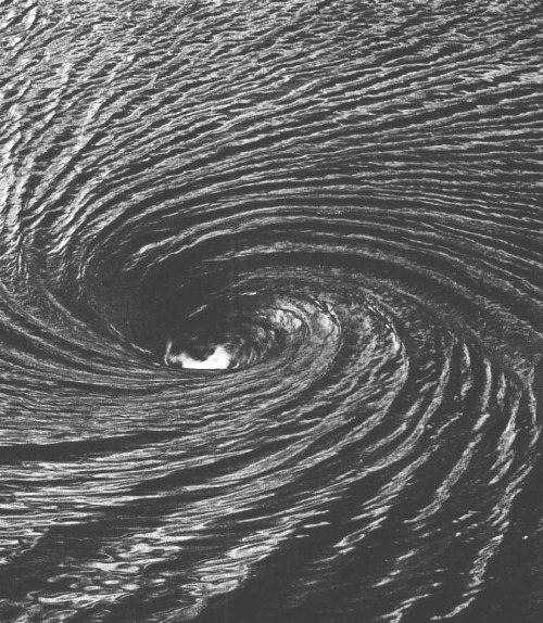 Archillect ID 13395