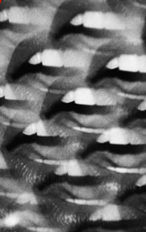 Archillect ID 13438