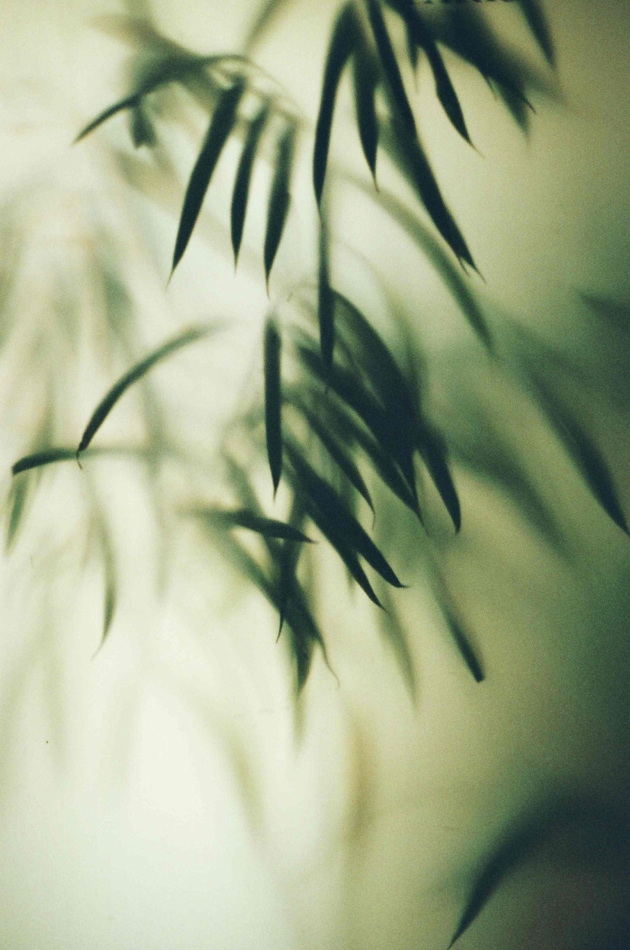Archillect ID 13452
