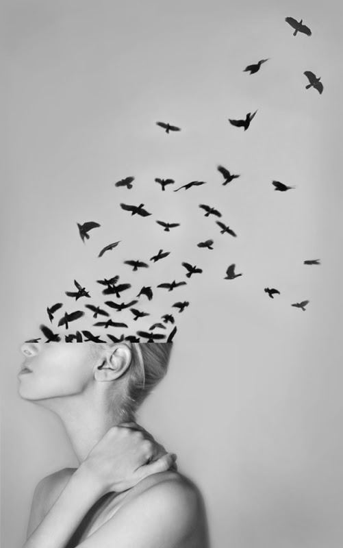 Archillect ID 13481