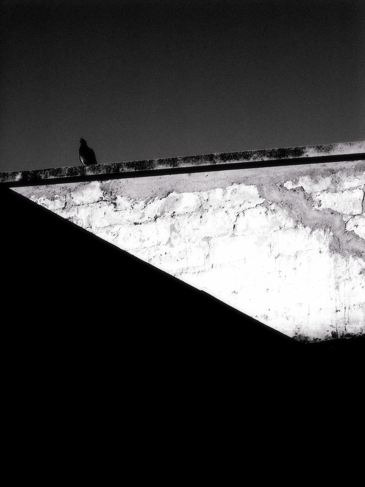 Archillect ID 13482