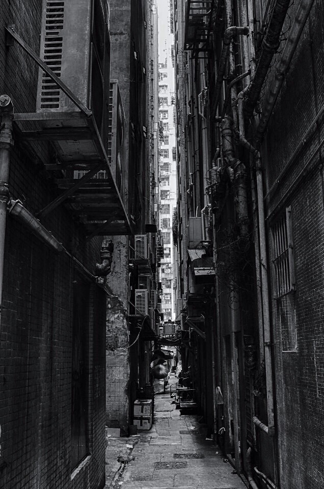 Archillect ID 13578