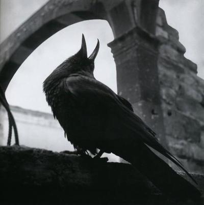 Archillect ID 13589