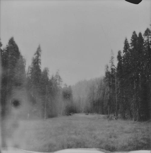 Archillect ID 13715