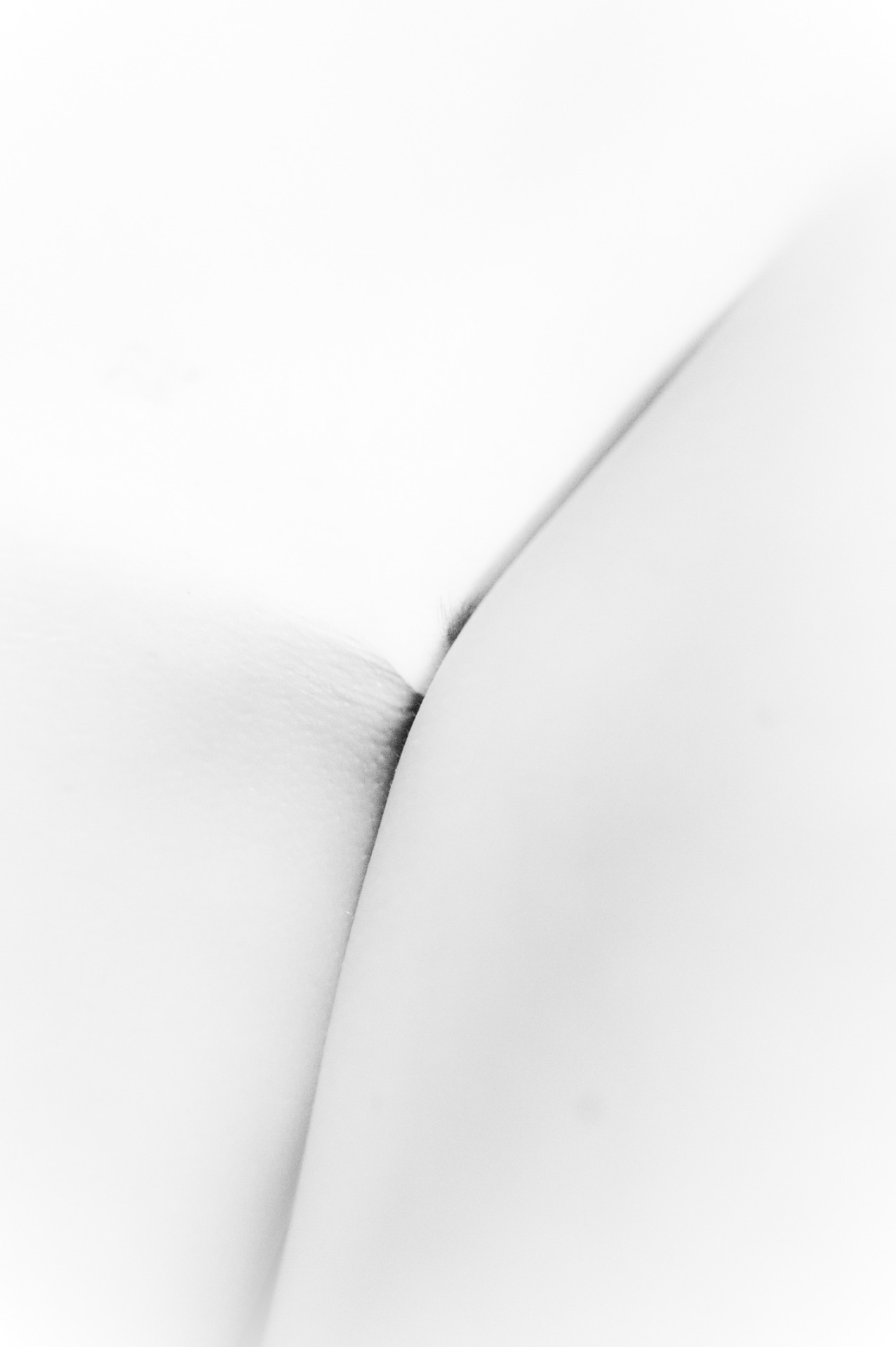 Archillect ID 13770
