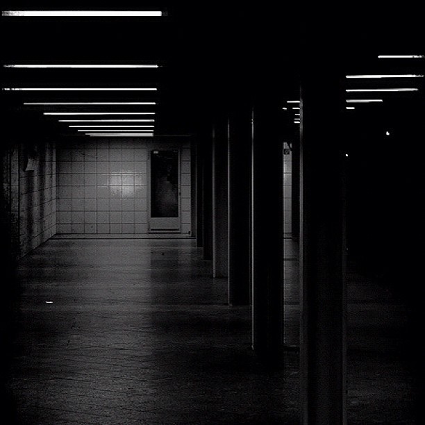 Archillect ID 13775