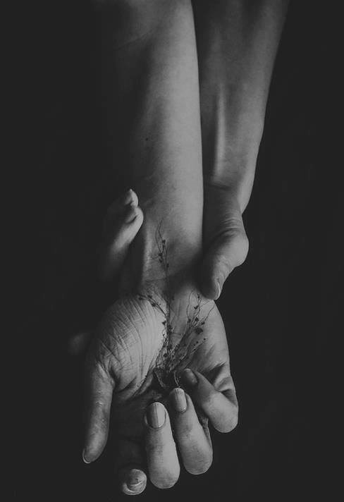 Archillect ID 13800