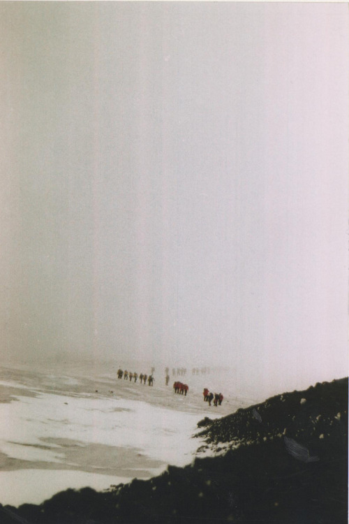 Archillect ID 13817