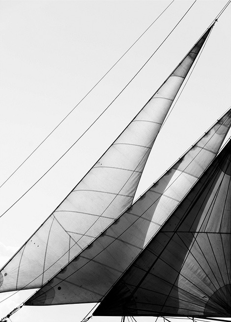 Archillect ID 13978