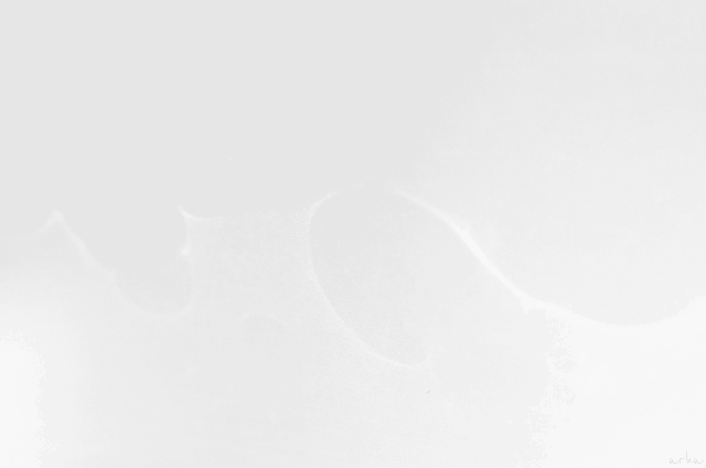 Archillect ID 13980