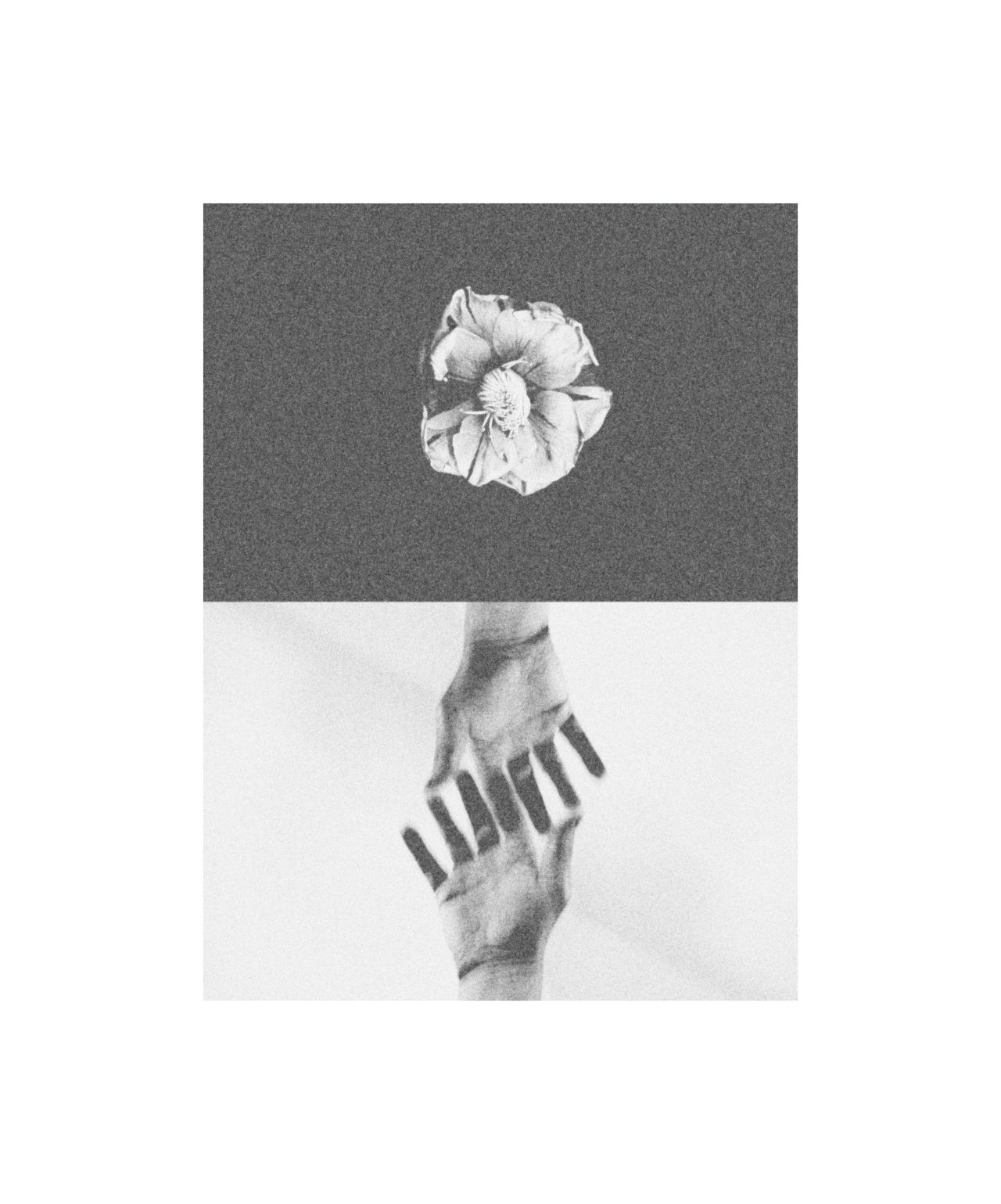 Archillect ID 14035