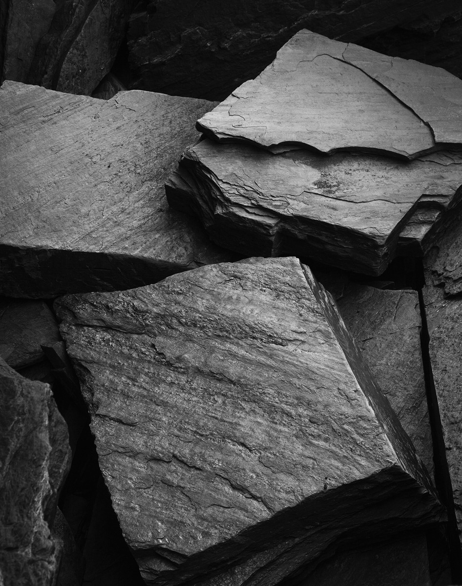 Archillect ID 14049