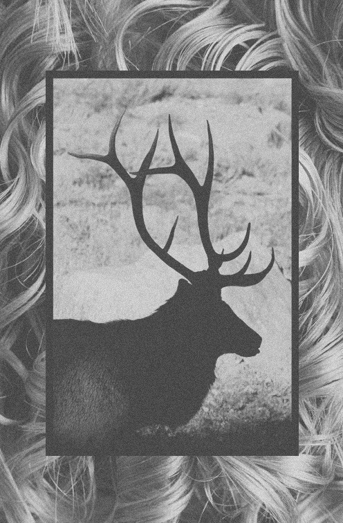 Archillect ID 14066