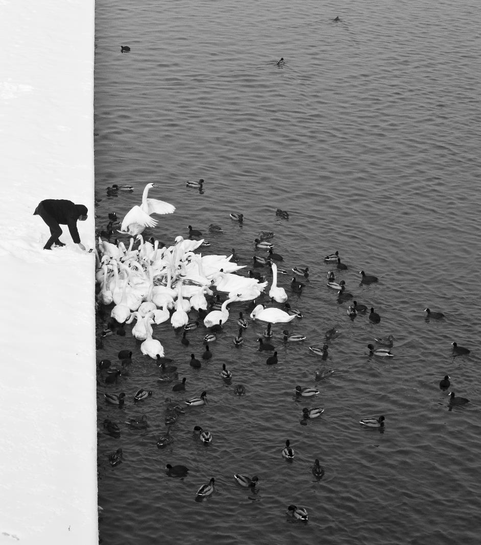 Archillect ID 14185