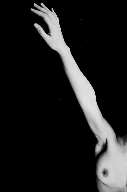 Archillect ID 14240