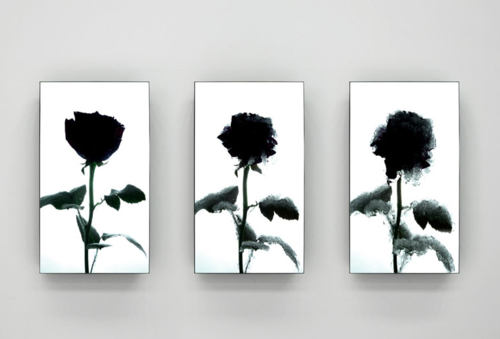 Archillect ID 14264