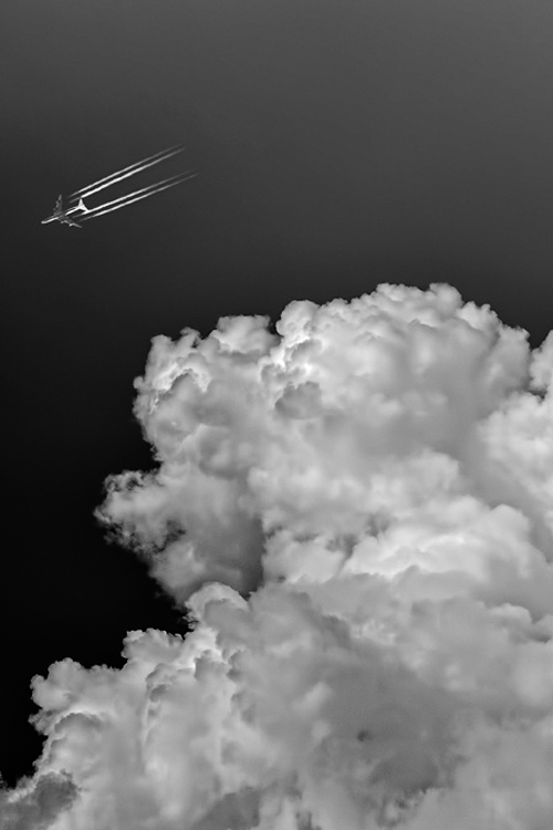 Archillect ID 14277