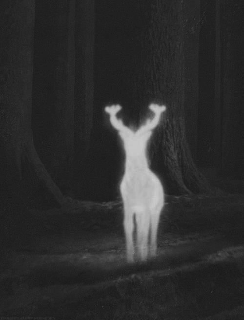 Archillect ID 14367