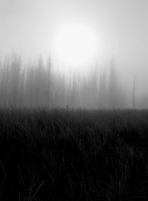 Archillect ID 14425