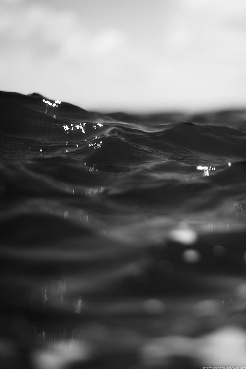 Archillect ID 14433