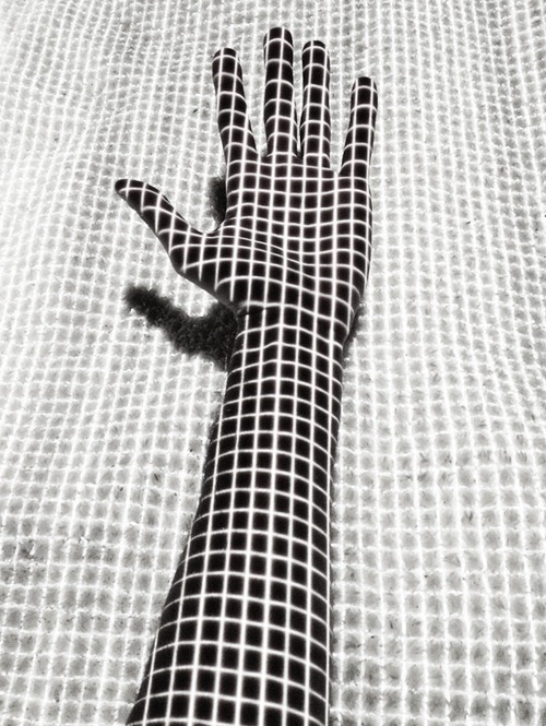 Archillect ID 14480