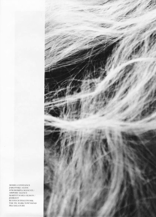 Archillect ID 14492